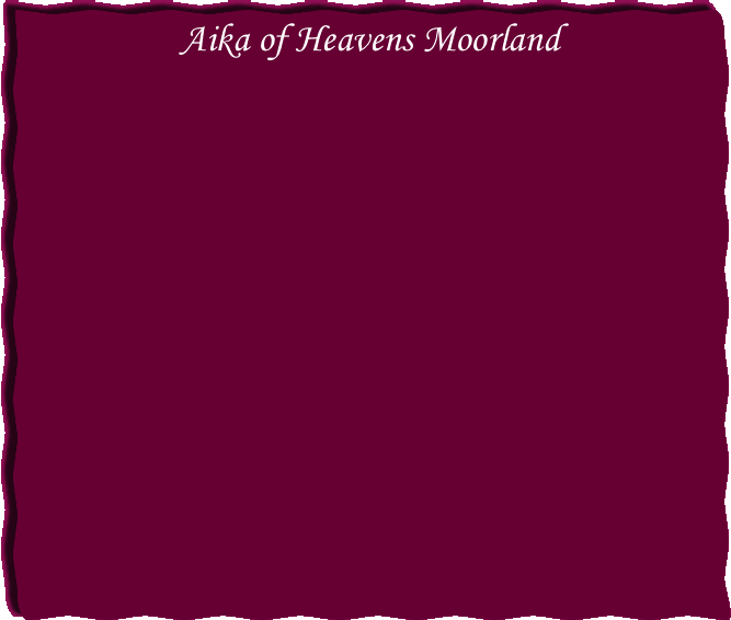 Aika of Heavens Moorland
