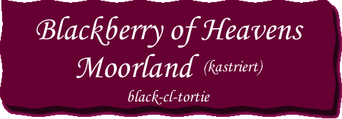 Blackberry of Heavens Moorland 
