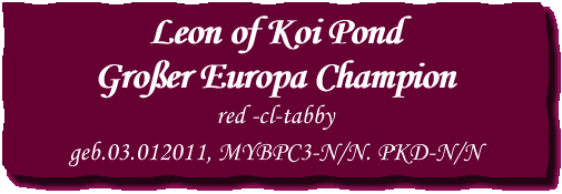 Leon of Koi Pond